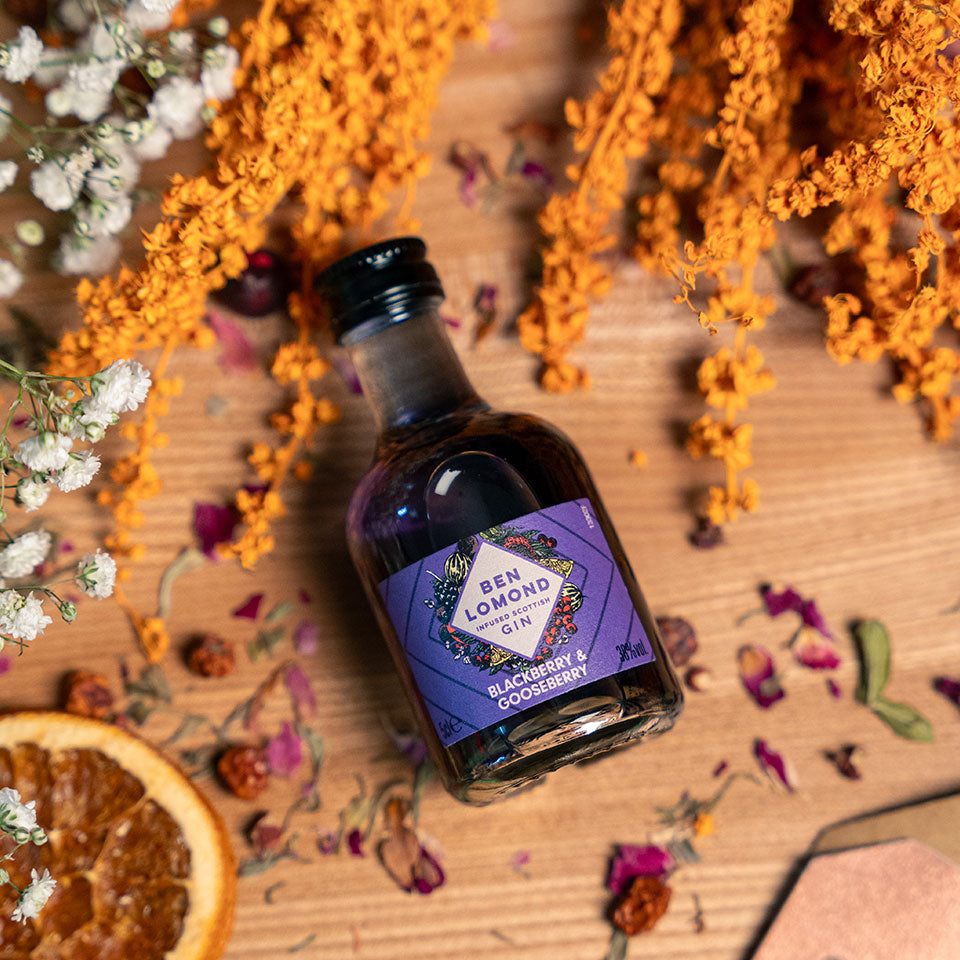 Ben Lomond Blackberry & Gooseberry Scottish Gin Miniature 5cl