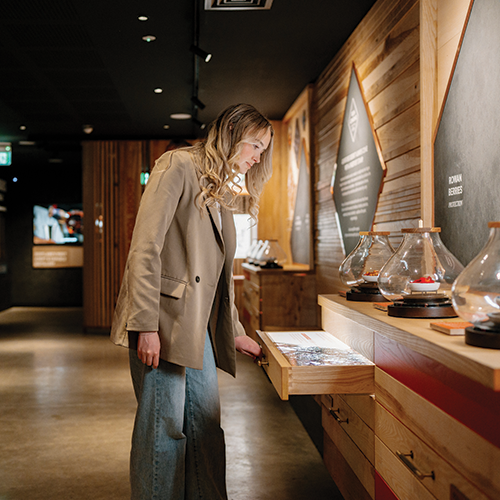 Woman in a beige coat looking at exhibits in the discovery centre.