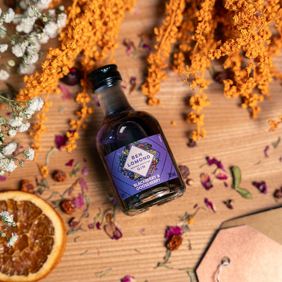 Ben Lomond Blackberry & Gooseberry Scottish Gin Miniature 5cl